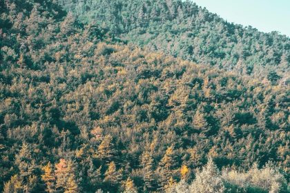How Long Should a Camping Trip Be? Exploring Ideal Duration for Outdoor Adventures